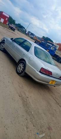 A picture of Cresta