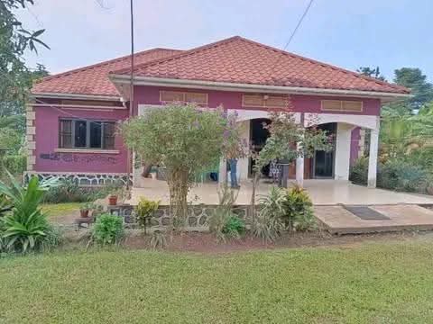 A picture of Hot deal on 1 acre MUKONO KAYUNGA ROAD COUNTRY _HOME