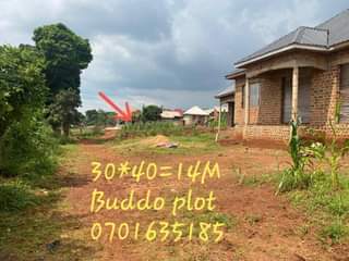 A picture of PLOTS LAND