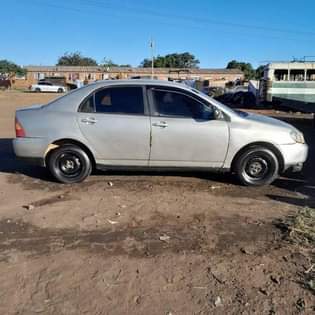 toyota corolla bubble