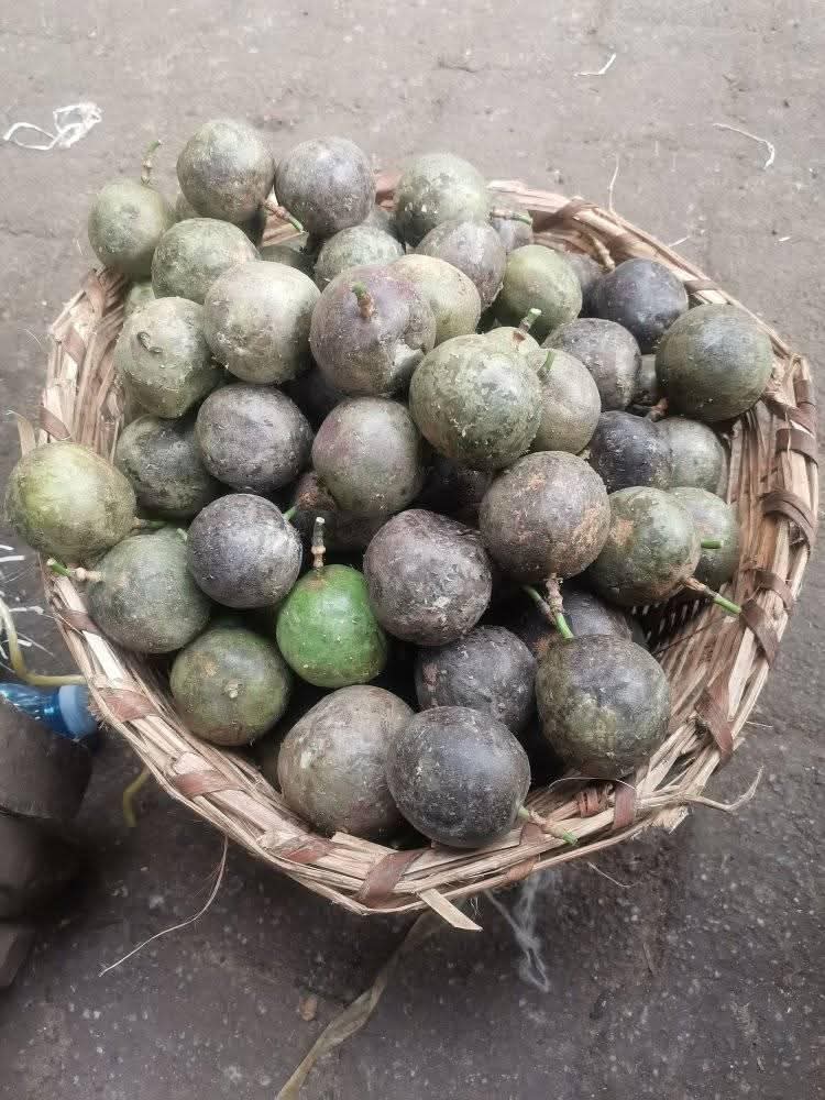 A picture of Passion Fruits