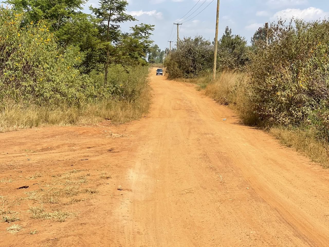 A picture of Are you searching for affordable plot along Kenol Marua Dual