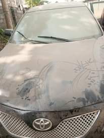 A picture of Sharp spider