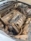 A picture of Honda Accord 2004