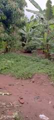A picture of MR PROPERTY again with another business Ts a single room