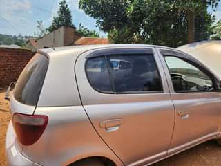 A picture of Vitz