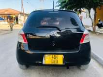 A picture of Vitz