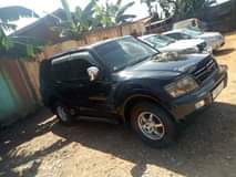 A picture of Pajero bitama