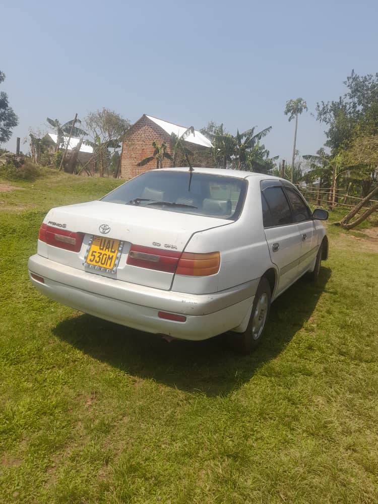 A picture of Premo super at 10m contact on 0741441988
