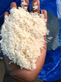 A picture of Rice