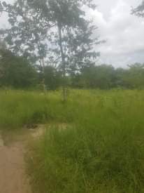 A picture of Njoo uchukue kiwanja vigwaza 20x20 laki 7 tu. Lami unaiona