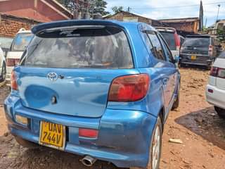 A picture of VITZ