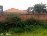 A picture of Quick sale 13 decimals in kira Mamelto road very good