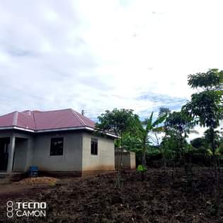 A picture of Land for sale in Mukono Seeta Nazigo Sized on 50by100fts