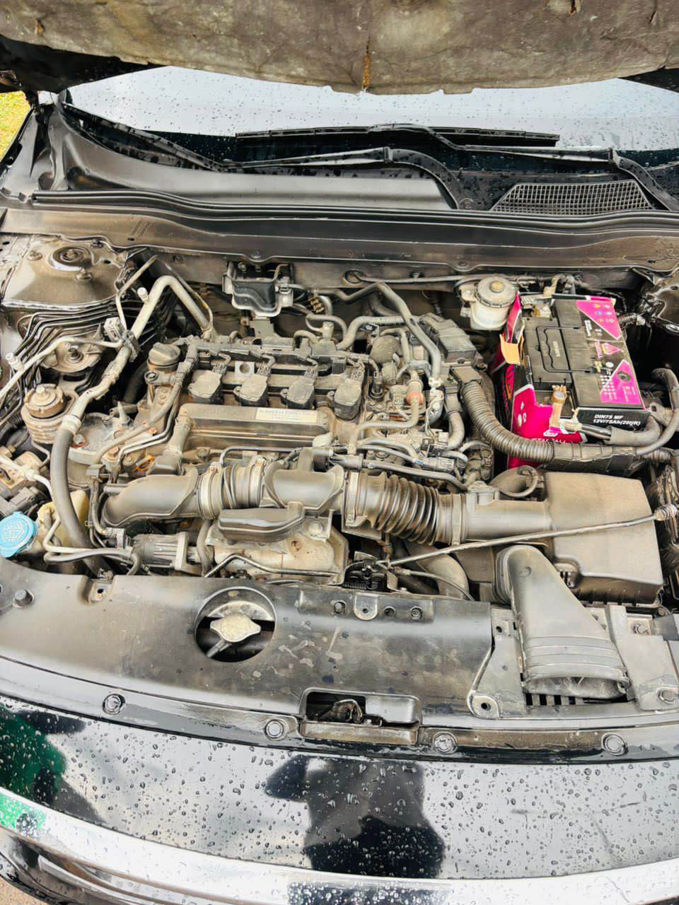 A picture of Honda Accord 2019