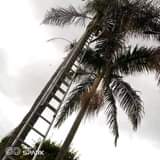 Aviation L.