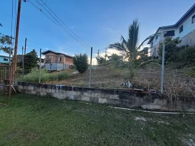 El M.