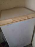 A picture of Frizer