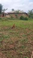 A picture of Wakiso town