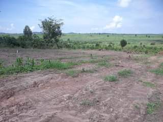 A picture of Plots for sale On Mitiyana