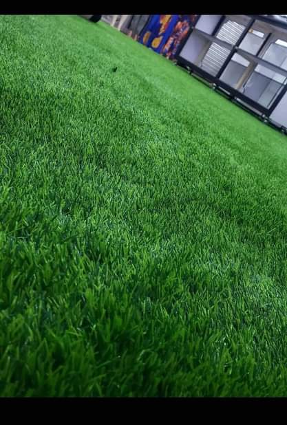 A picture of Artificial Grass Capets