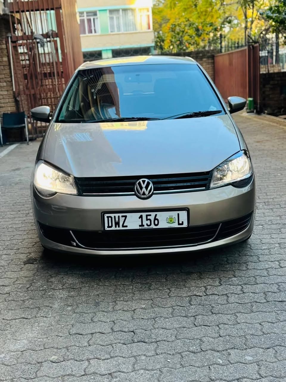 polo vivo