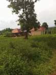 A picture of House for sale
