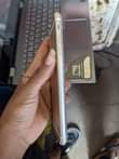A picture of iPhone 6 Plus