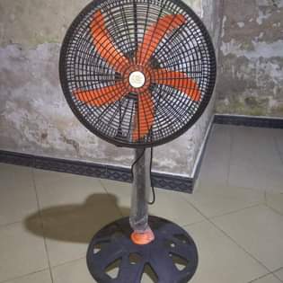 fans