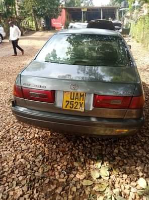 A picture of Premio on sale Everything is perfect 0705685826