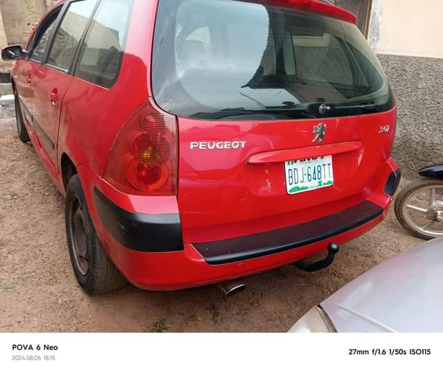 A picture of 307 wagon