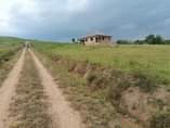 A picture of Plots
