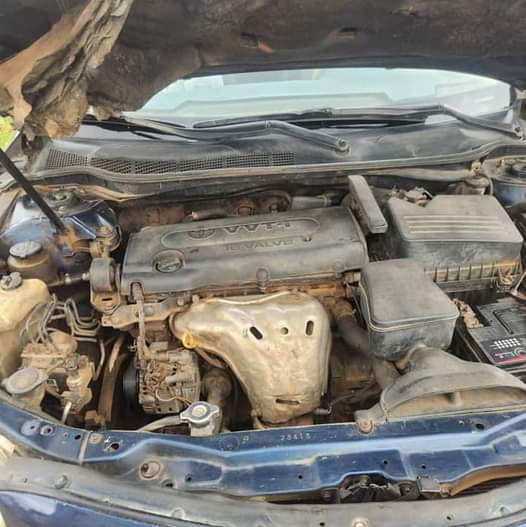 A picture of 2009 Camry muscle