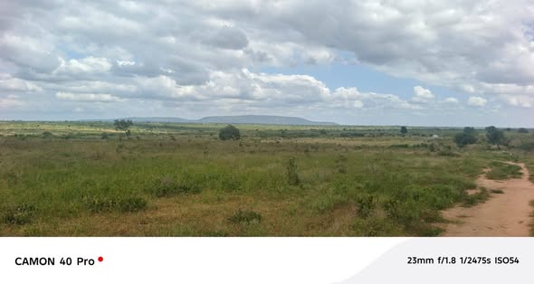 A picture of Plots for sale