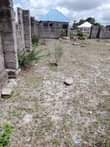 A picture of Pagala linauzwa