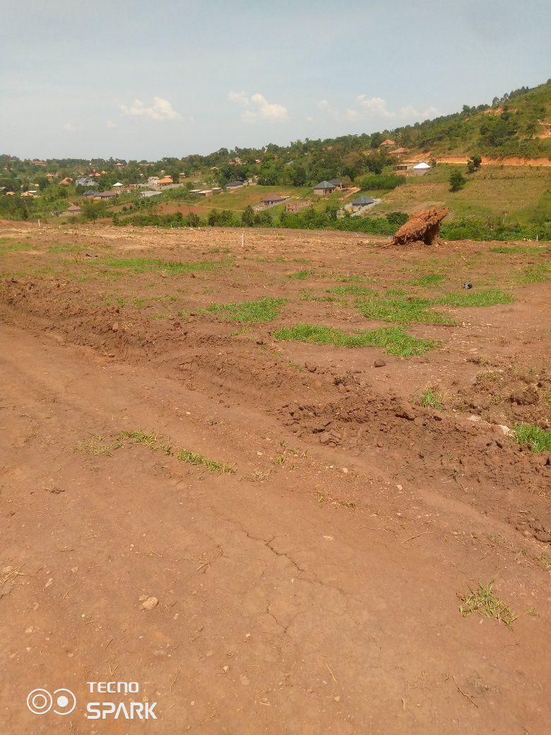 A picture of Titled Plots at wakiso mabombwe