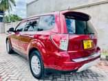 A picture of Forester