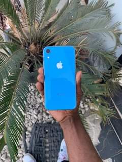 A picture of IPHONE XR 0786817551