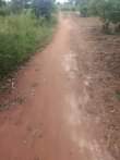 A picture of 3 fertile acres on sale all at 15m it s
