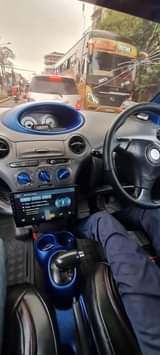 A picture of Vitz