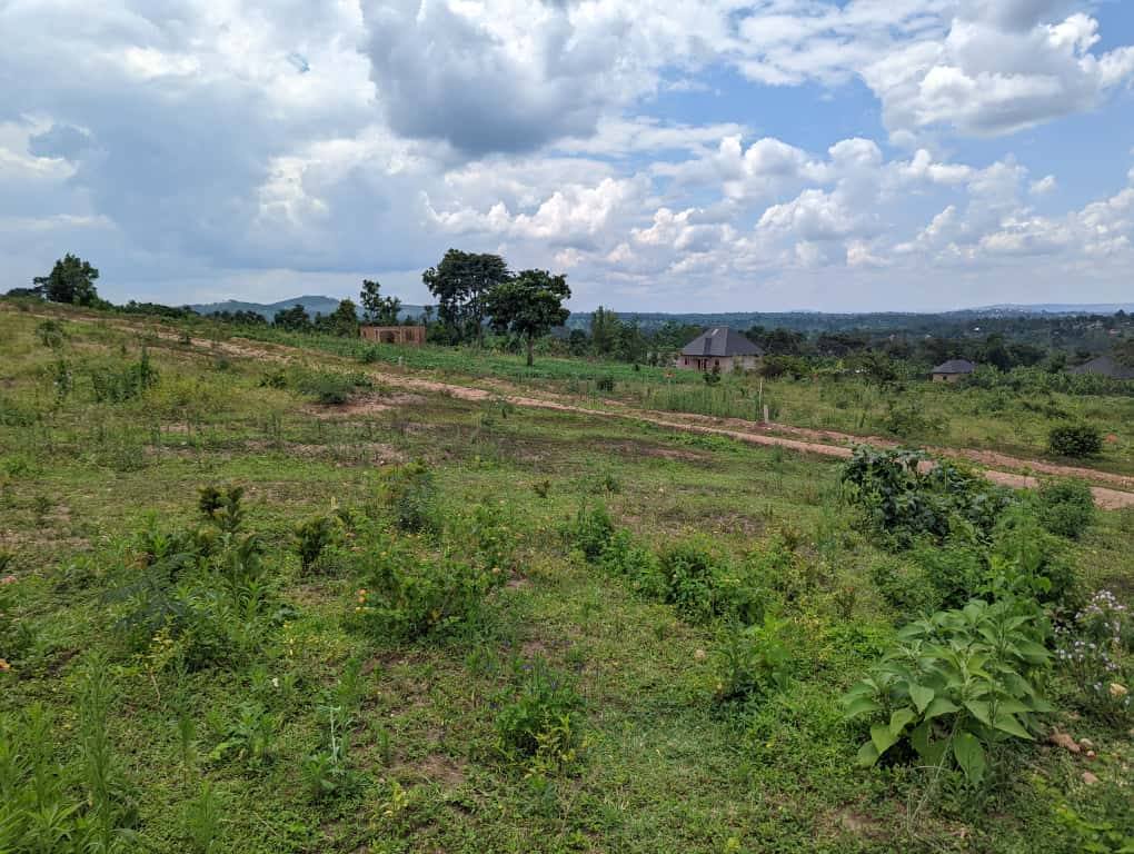 A picture of Plots on quick sale Wakiso Gobero 9M with title 1km