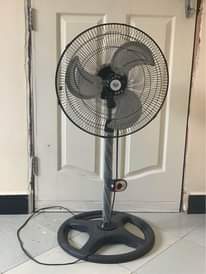 A picture of Feni