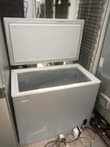 A picture of Friza
