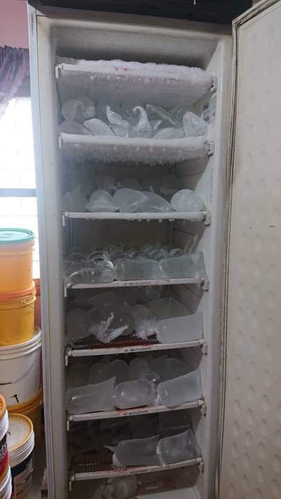 fridges