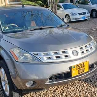 A picture of Nissan murano