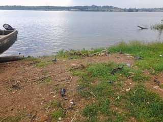 A picture of Two acres for sale in Mukono Katosi good for resort