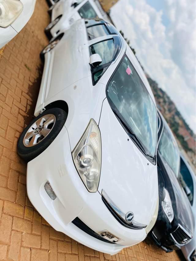 A picture of WISH