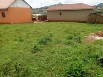 Ssemugooma R.