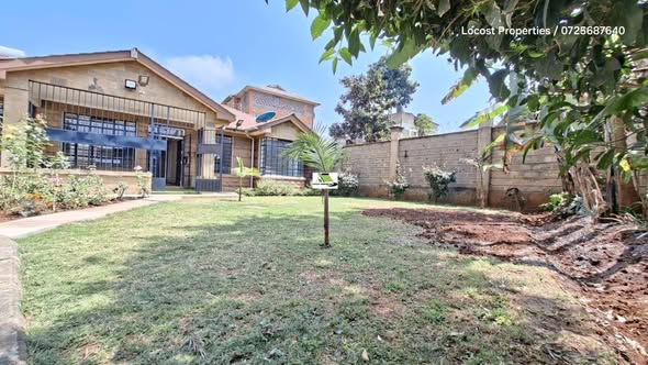 kikuyu grass