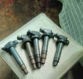 coils
